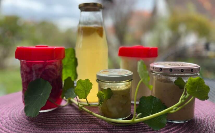 Fermentieren mit Evi